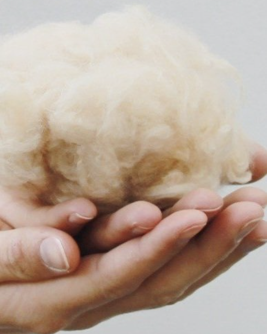 Why Proper Wool Care Matters