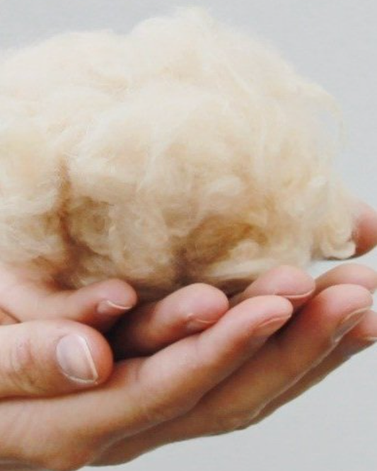 Why Proper Wool Care Matters